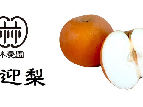 冬の梨・日迎梨（林農園オリジナル品種）　約5kg(12〜7玉)【熨斗対応】【冬ギフト】