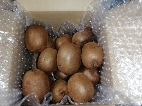 農薬不使用！緑キウイ「ヘイワード」1kg