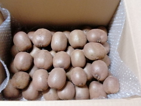 農薬不使用！緑キウイ「ヘイワード」3kg