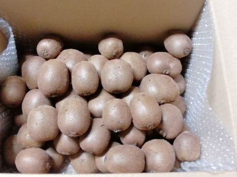 農薬不使用！緑キウイ「ヘイワード」4kg