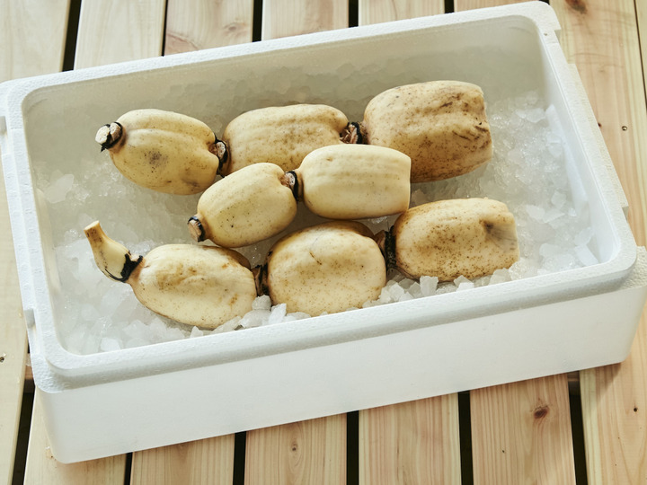 生産者のこだわり