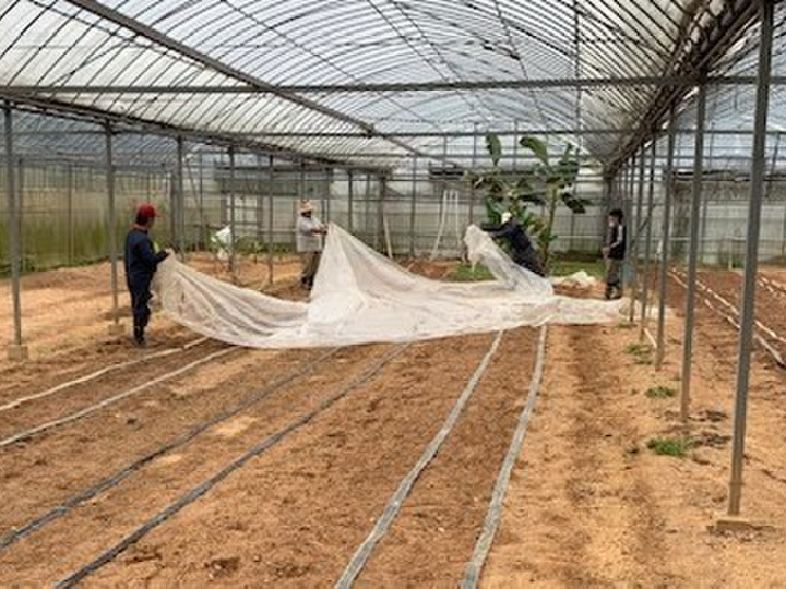 農業を地場産業として地域活性化につなげる。
