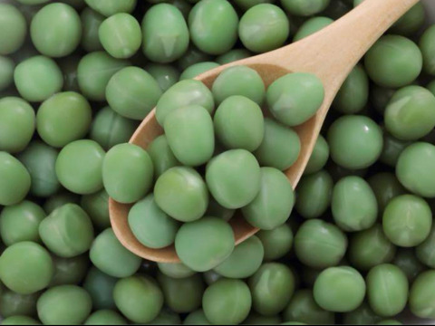 春野菜セット 鹿児島県指宿産 グリーンピース500g＋オクラ32本 農家直送