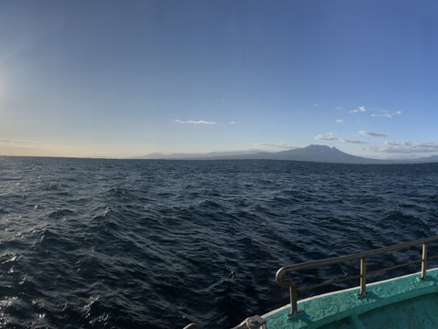 期間限定　特用　北海道産　漁師の店ホタテ　８kg