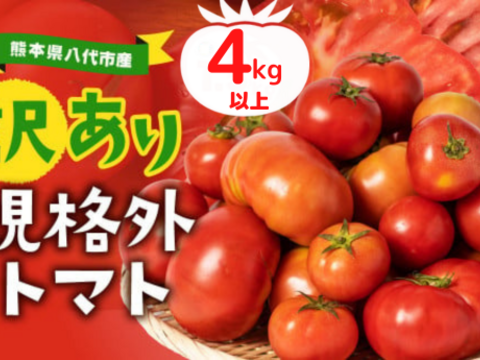 【先行予約10%割】【訳あり】冬春トマト生産量日本一の熊本県八代市産規格外トマト4kg