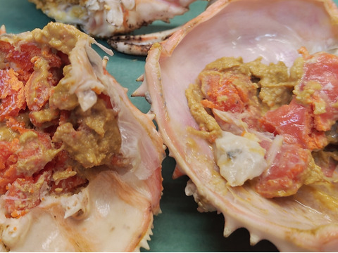 【禁断の珍味】タラバガニの生内子/500g前後/旨すぎて食べ過ぎ注意【生冷凍】【数量限定】
