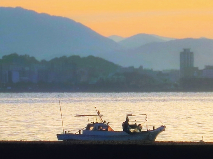 流通の少ない新鮮な美味しいものをご提供