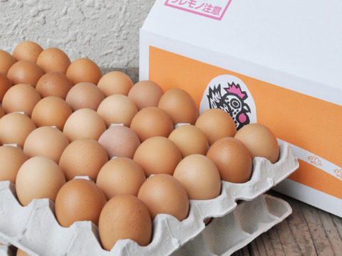 大松農場たまご 鶏卵 体に染み込む美味さ 自然そのままの味わい 大松のもみじ 5kg お徳用 千葉県産 食べチョク 農家 漁師の産直ネット通販 旬の食材を生産者直送