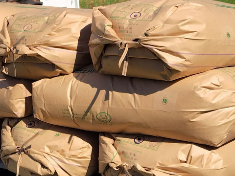 令和6年新米✣農薬化学肥料不使用✣近江米コシヒカリ✣玄米で食べてニッコリ菜の花米✣コンビ10kg