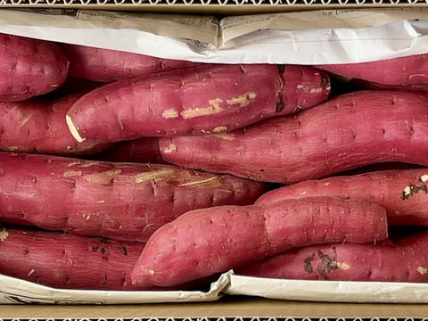 訳ありでも甘くねっとり！「紅はるか」色々なサイズ入り 3キロ箱