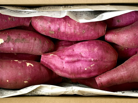 【今期最終】訳ありでもホックリサラリ！新品種「ゆきこまち」色々なサイズ入り  3キロ箱