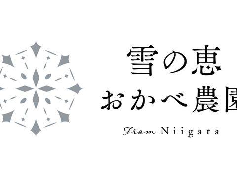 【お得！定期便３回コース】【数量限定】【令和7年新米】金賞受賞！魚沼産コシヒカリ『雪の恵』精米５kg