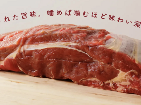 【夏ギフト】《今だけ300円引き✨》家族みんなで分けて食べれるファミリーサイズ(800ml) 2個と、冷凍のまま焼けるハンバーグ3個セット！