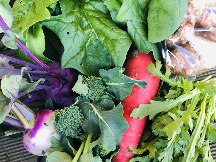 見た目も面白い!かわり野菜