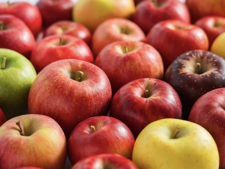 農の文化に、夢を託して