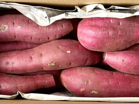 訳ありでも甘くねっとり！「紅はるか」色々なサイズ入り 3キロ箱