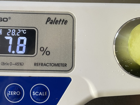 ク1️⃣💥タイムセール【クイーンニーナ】2kg化粧箱（3～6カット房入）加工用