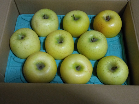 シナノゴールド💛家庭用約2.7Kg🍏青森県産　数量限定