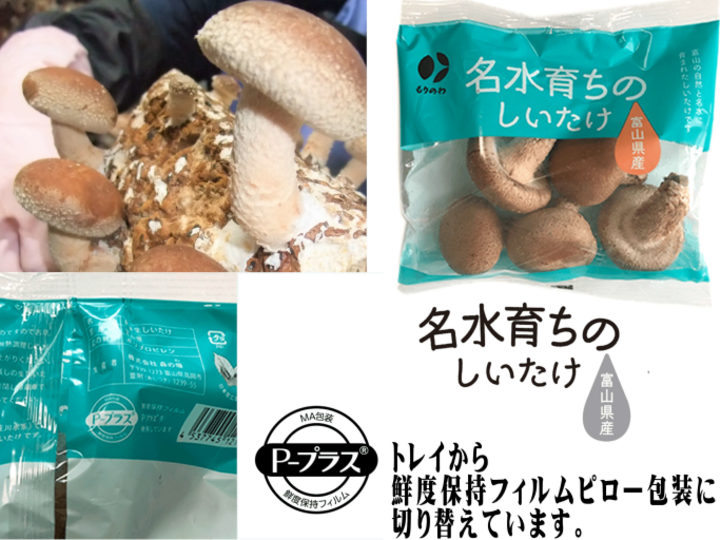 A【12パックセット】🍄はなびら茸（ハナビラタケ）「花弁」🍄自然界