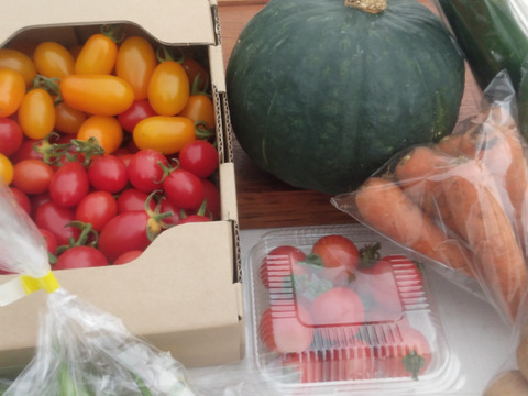 【ミドルセット】北海道から　野菜詰め合わせ　トマトと色々な8種類以上　小家族にピッタシ