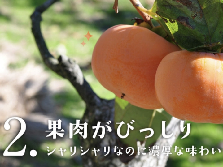 生産者のこだわり