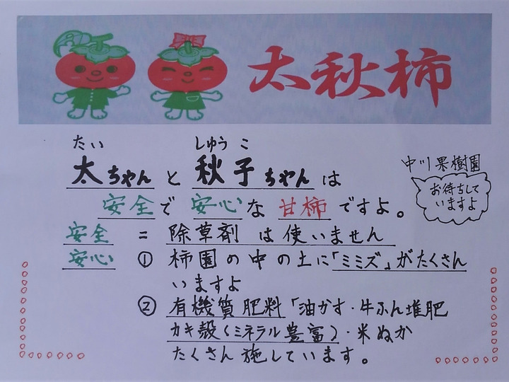 今年も太秋柿は、安全・安心な甘柿です。