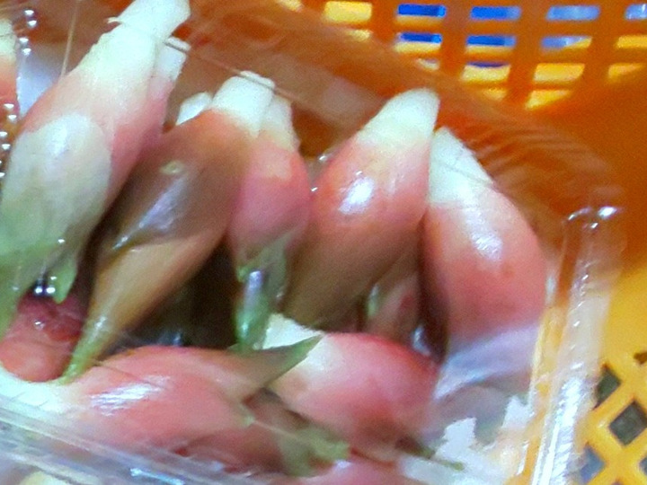 生産者のこだわり