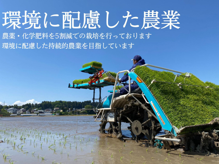🌾令和4年新米】魚沼産コシヒカリ 精米 農家のお米 5kg：新潟県産の米