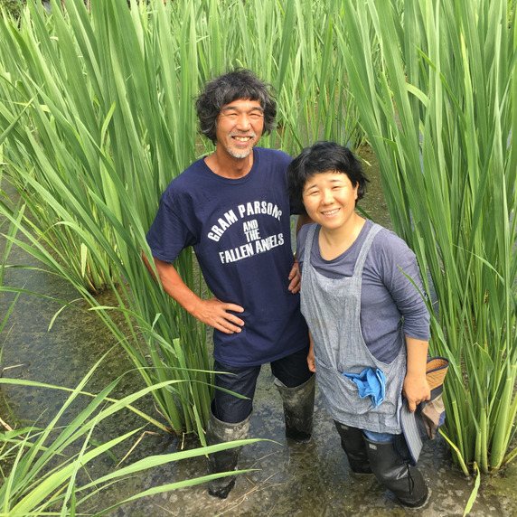 くま野良