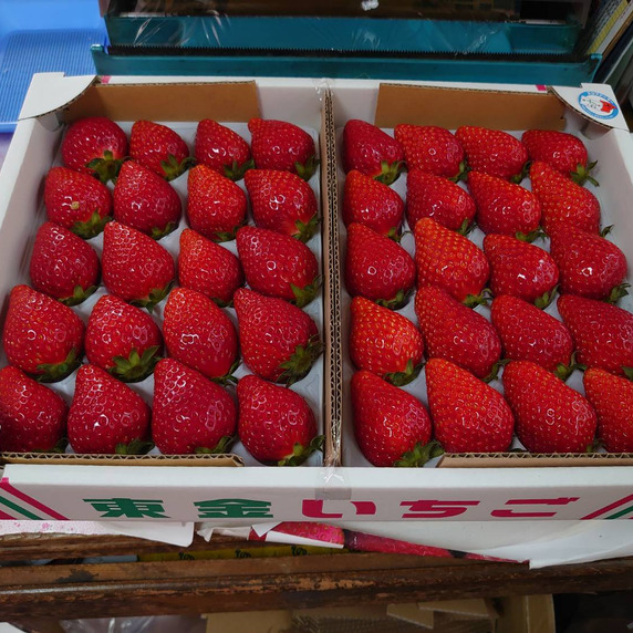 市東農園(完熟いちごの直売店)