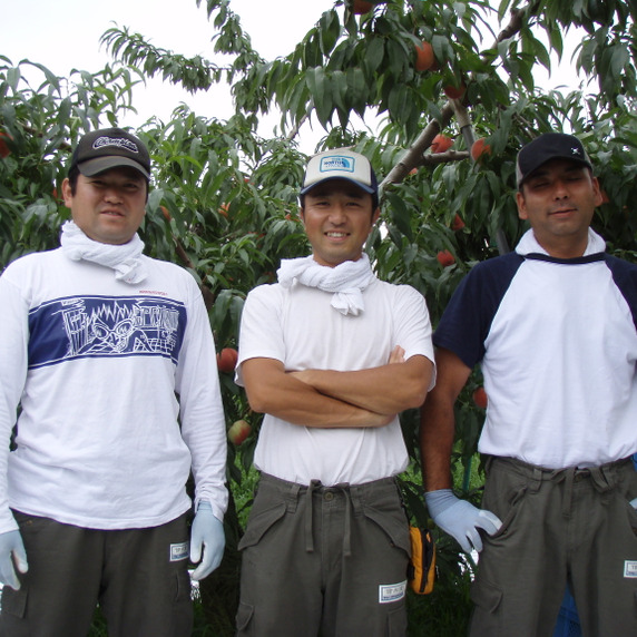 obuse cocolo farm