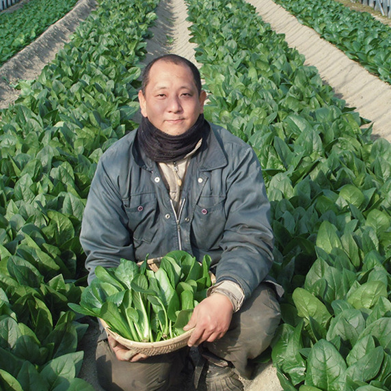 徳島有機ファーム