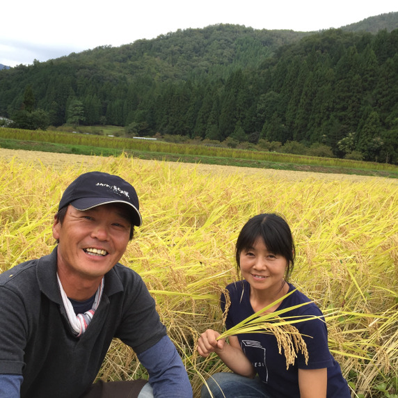 野世 英子