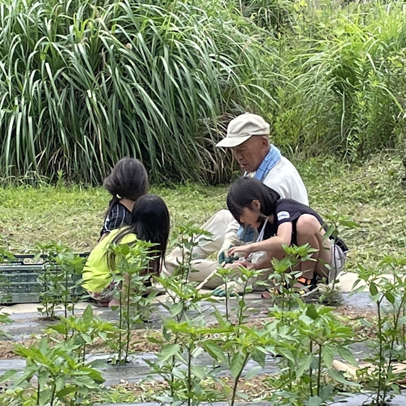 山下農園