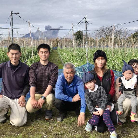 ファミリー農美家畑産地直送便