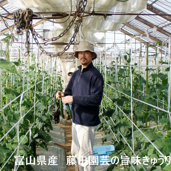 藤田園芸