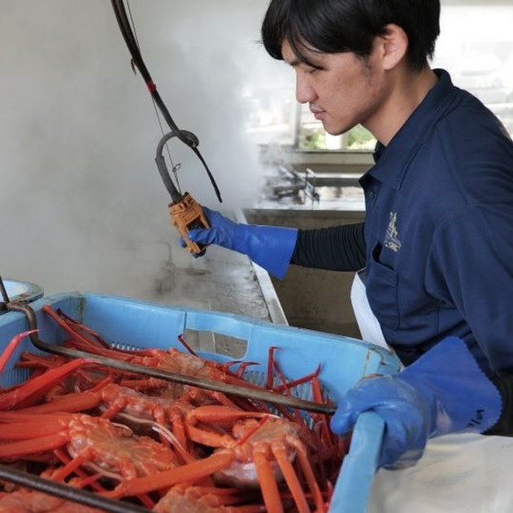 カニ直売所　弥吉丸