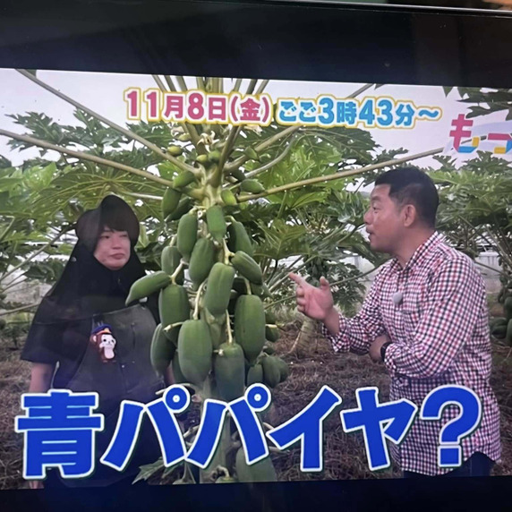 Baji西洋野菜研究所