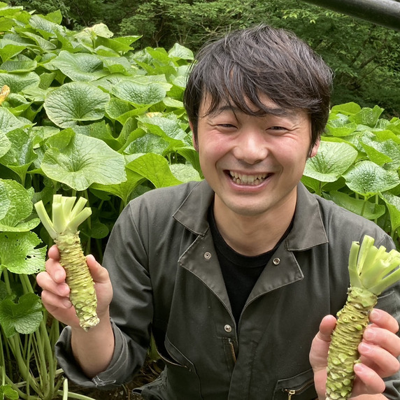 市川わさび園
