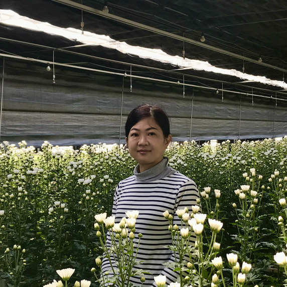 お花屋さんぶんご清川