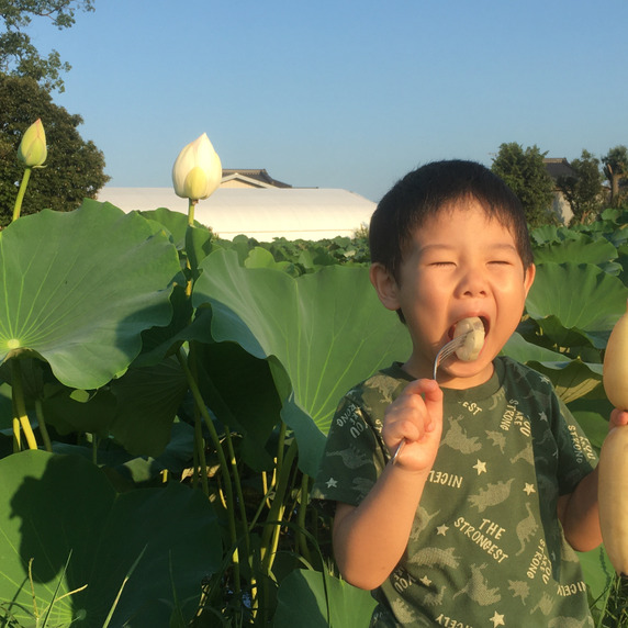 小島農園