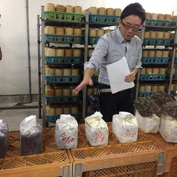 沼田きのこ園