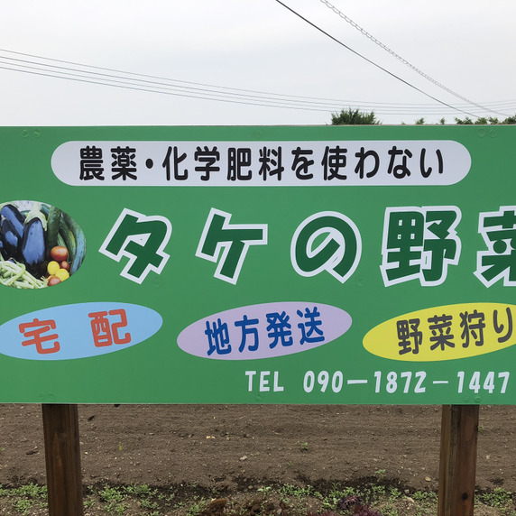 タケの野菜