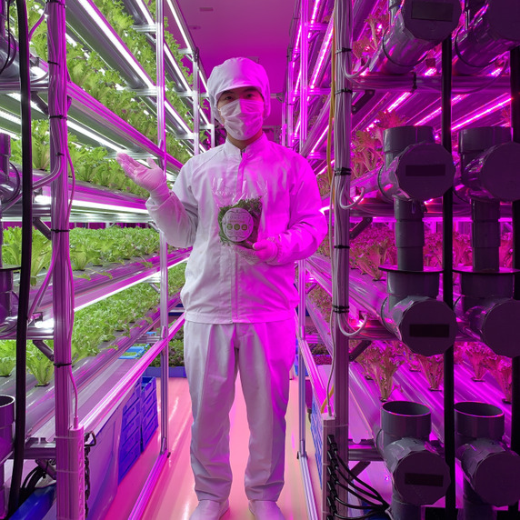 Saicon Vertical Farm