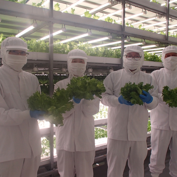 植物工場 スマイルリーフ スピカ