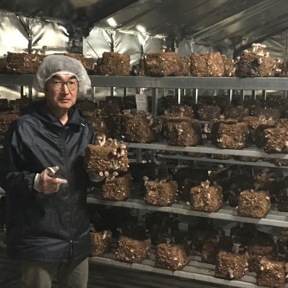 鳳来寺山麓きのこ園