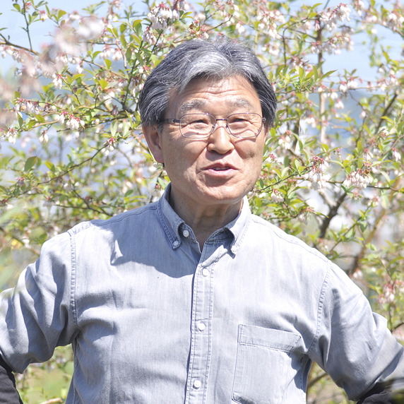 島田農園小さなブルーベリー畑