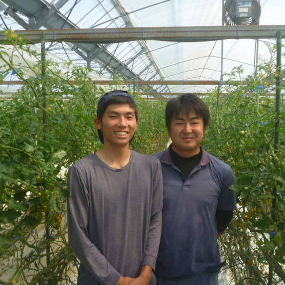 株式会社　宮崎太陽農園