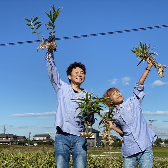 あぐり王国（アミタ）