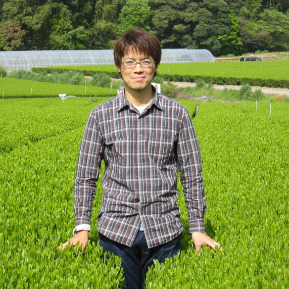 むら茶園